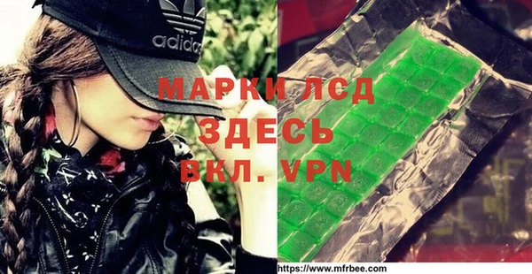 прущие грибы Новозыбков
