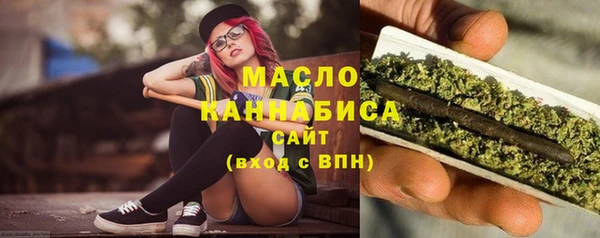 прущие грибы Новозыбков
