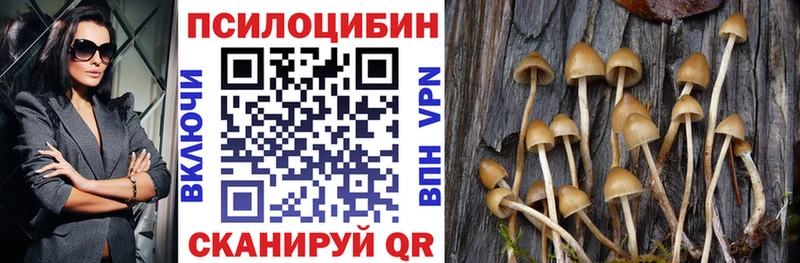 Галлюциногенные грибы мухоморы  наркотики  Саранск 